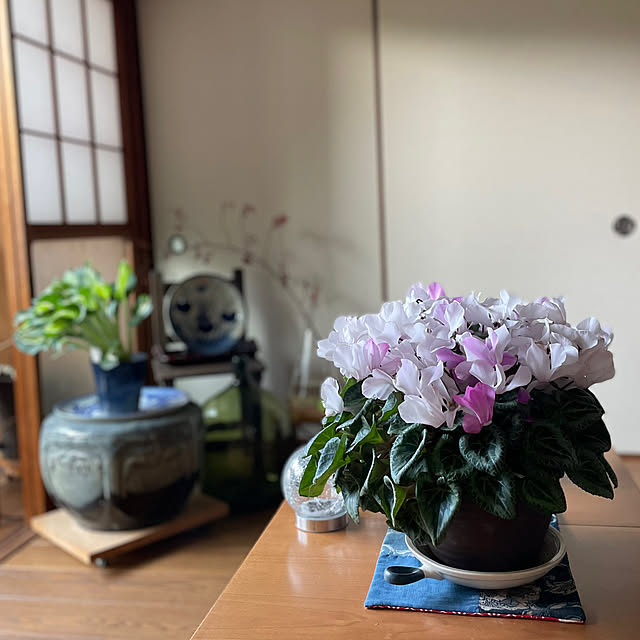 buchiさんの実例写真
