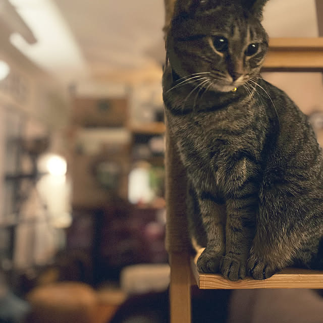 Mさんの部屋