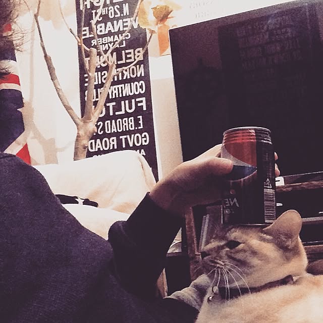 Naoki.さんの実例写真