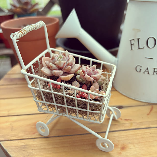 3setai_gurashiさんの実例写真