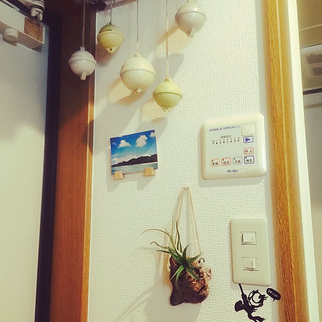 Shuheiさんの実例写真