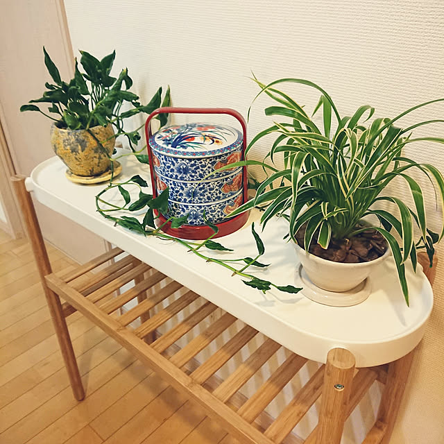 nao525さんの実例写真