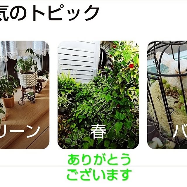 katさんの部屋