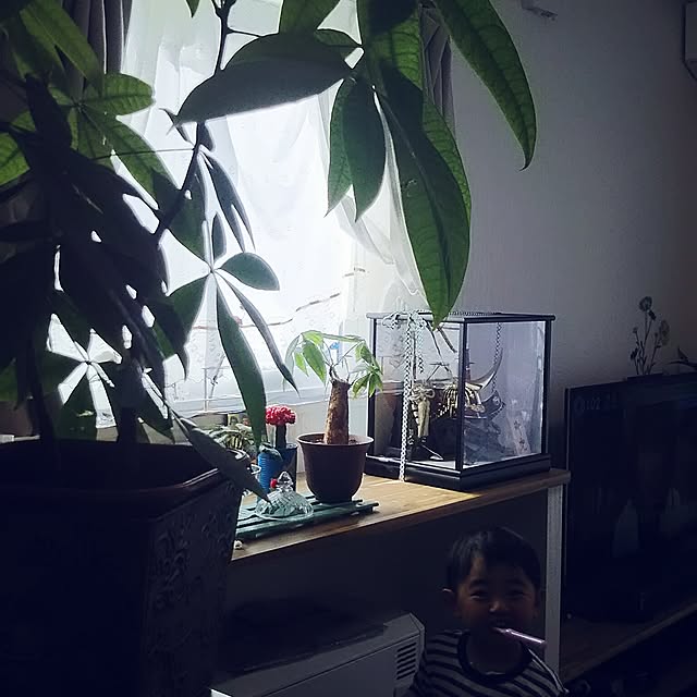 bousuke.215112さんの実例写真