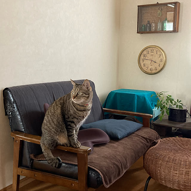 mikan161さんの実例写真