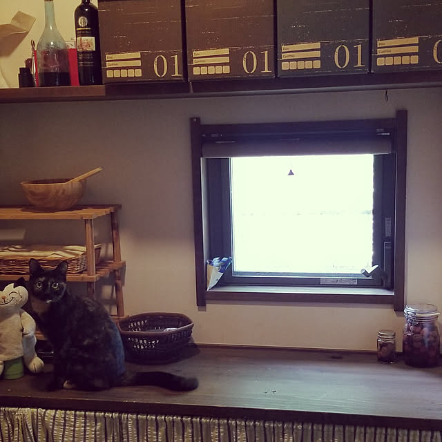 キッチン/100均/猫のインテリア実例 - 2019-07-30 13:17:17