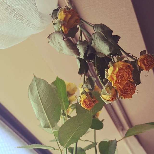 yukitanさんの実例写真