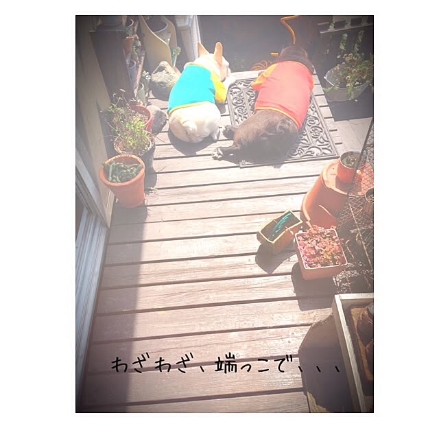 38coreさんの実例写真