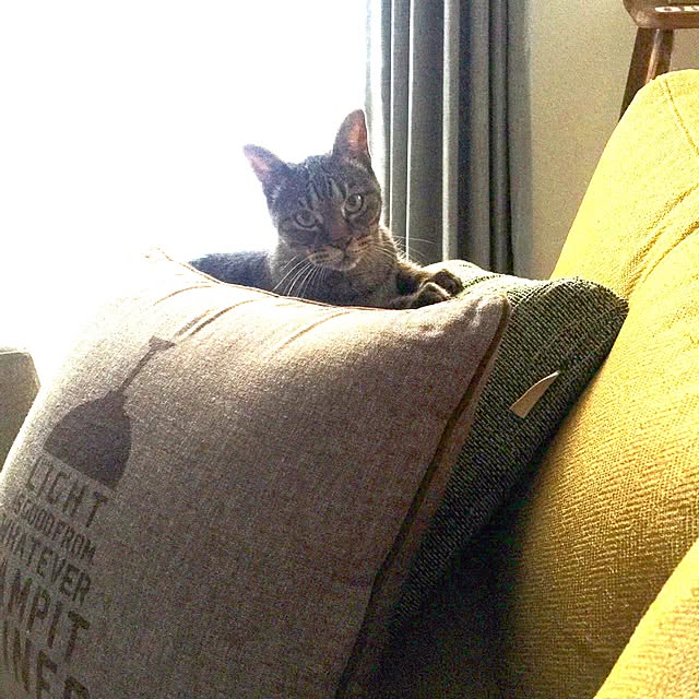beansさんの実例写真