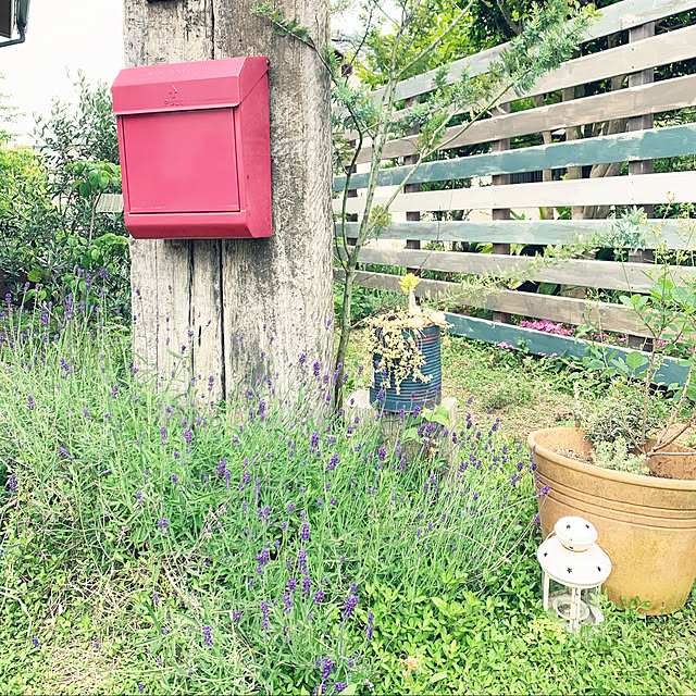 uricoさんの実例写真