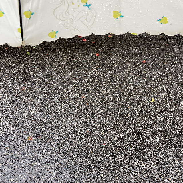 manduonmaさんの実例写真