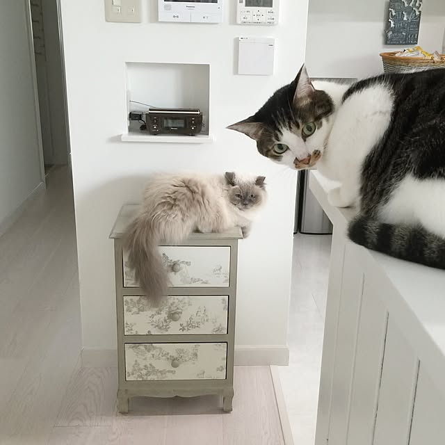 yuchiさんの実例写真