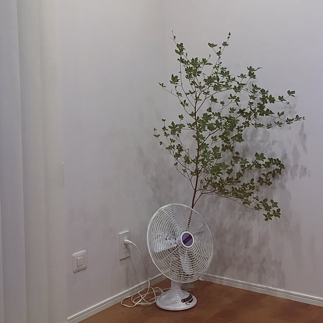 akiさんの実例写真