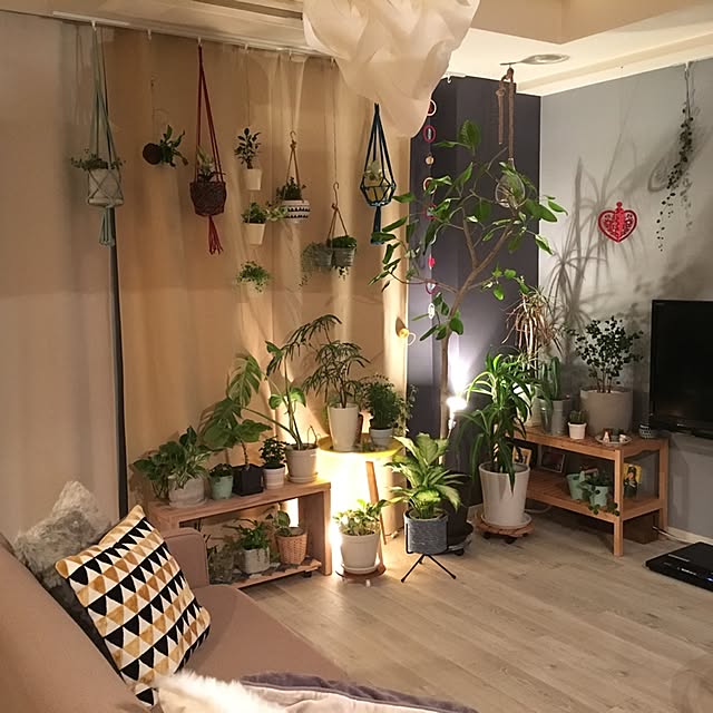 naoさんの実例写真