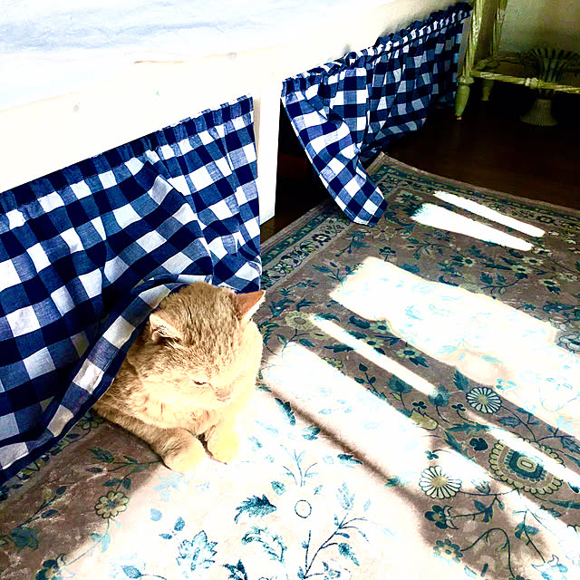 naokoさんの部屋