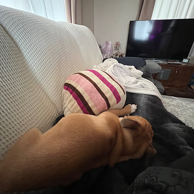 chi_gogaさんの実例写真