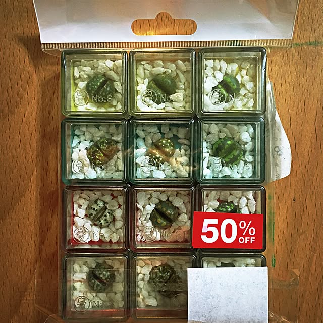 ramuchop3000さんの実例写真