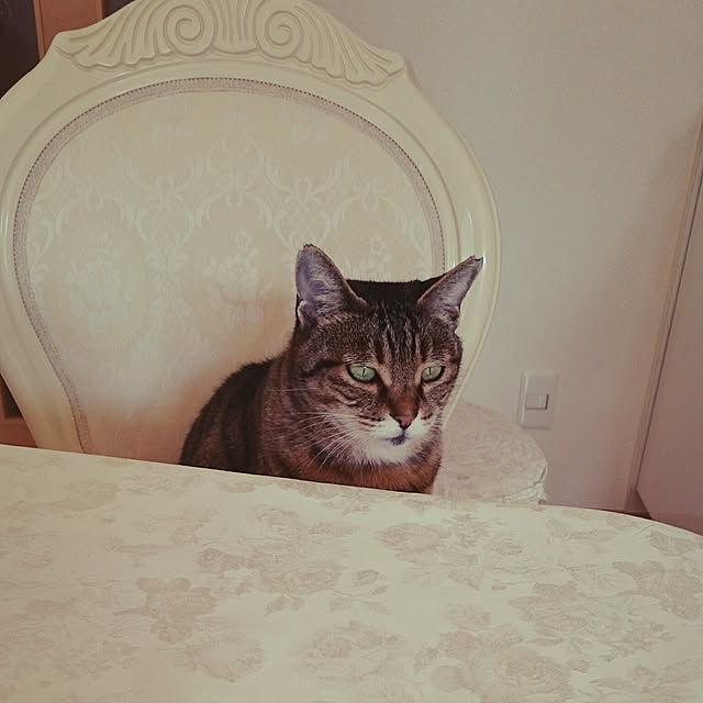 lilyさんの実例写真