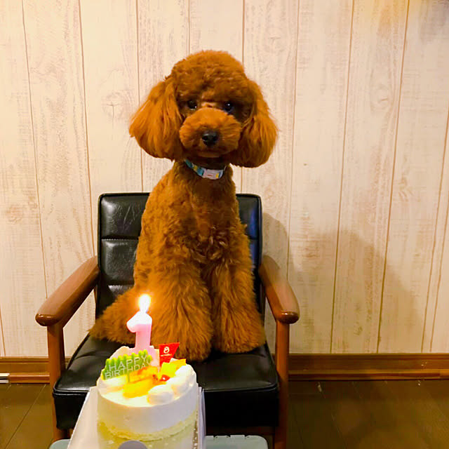 oozorataiga1さんの実例写真
