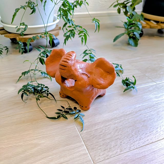 yuuuuさんの実例写真