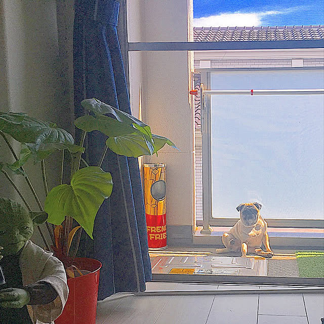 Yukoさんの実例写真