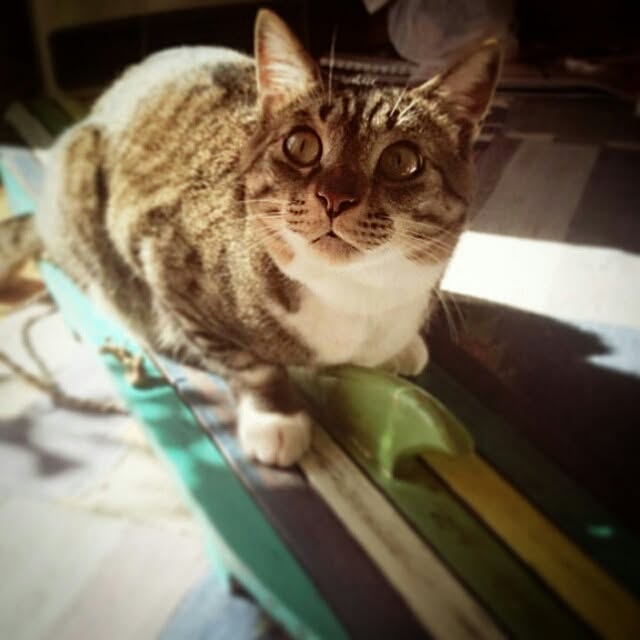 Lukiさんの実例写真