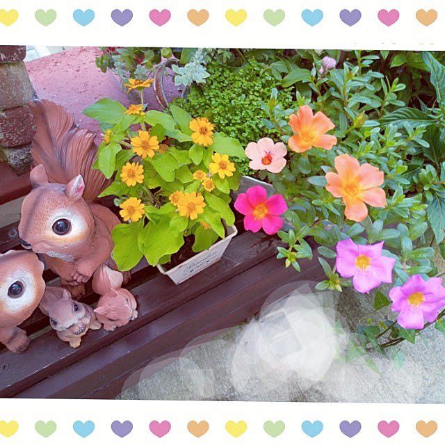 mocomocoさんの実例写真