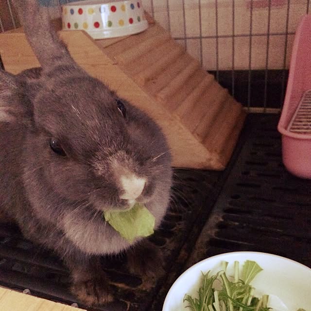 meeeeeeeeeiさんの実例写真