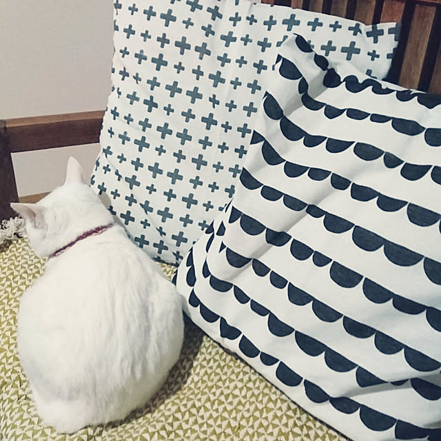 ayaさんの実例写真