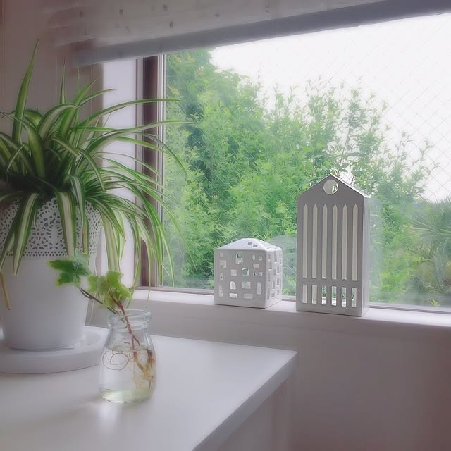Rさんの実例写真