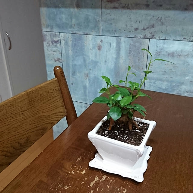 mokoさんの実例写真