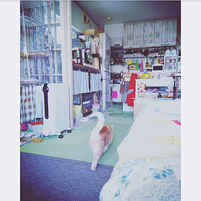 mntcさんの実例写真