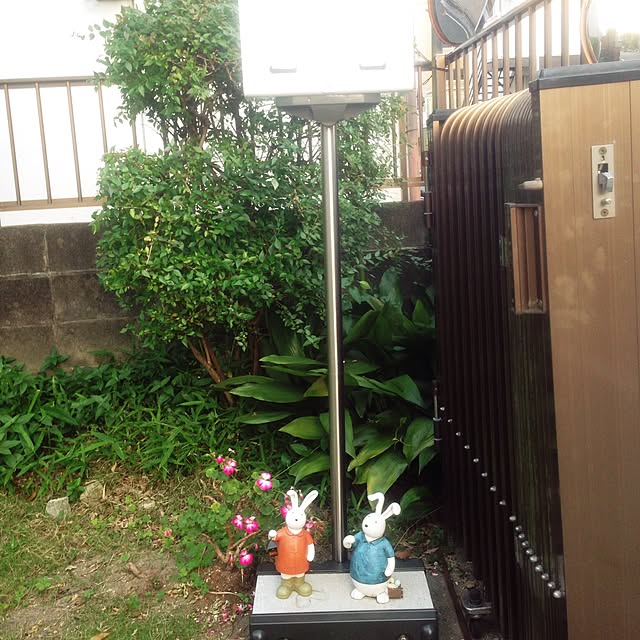 chauさんの実例写真