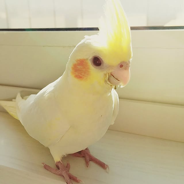 Mさんの実例写真