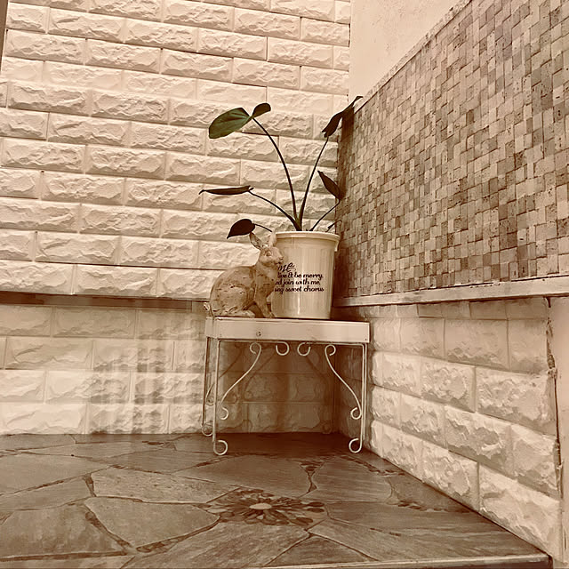 jankenkenさんの実例写真