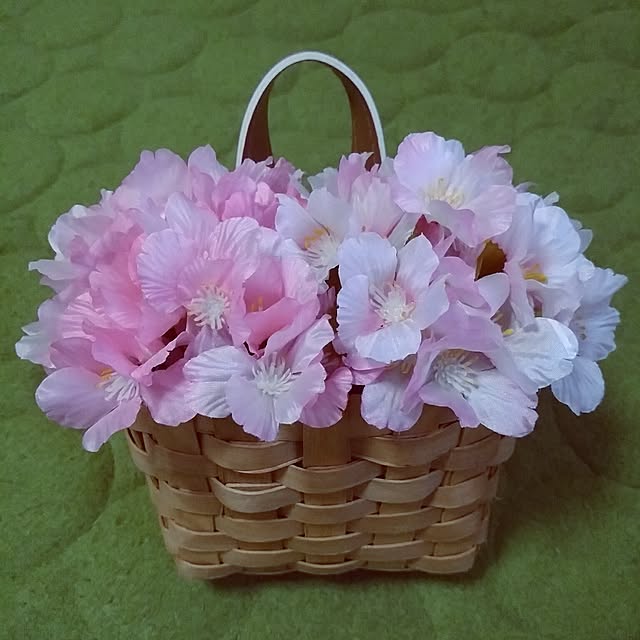 sacchiさんの実例写真