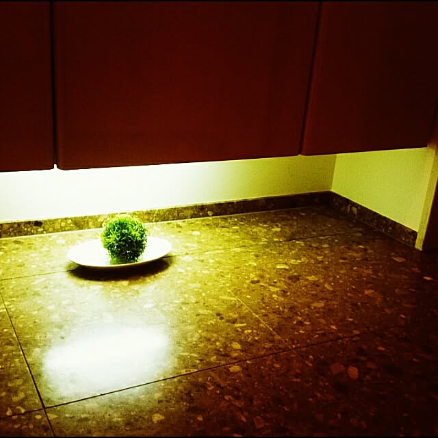 mina19さんの実例写真