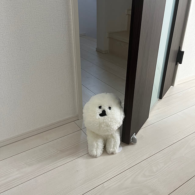 mikeさんの実例写真