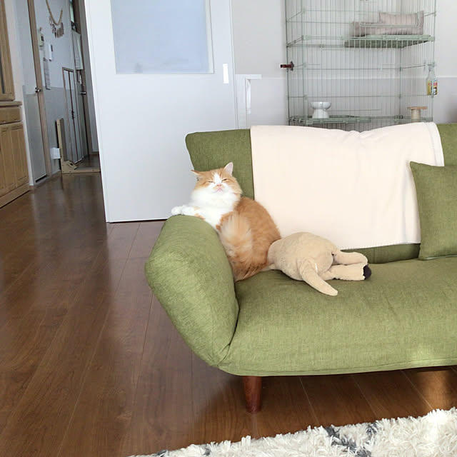 junさんの実例写真