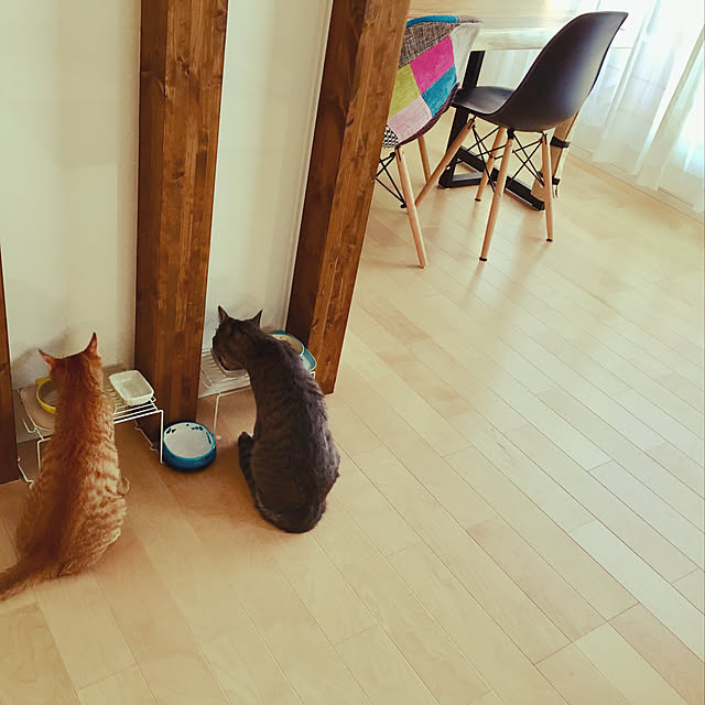 kichiさんの実例写真