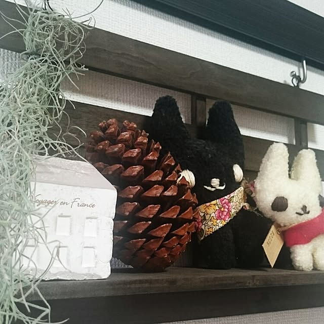 mi-さんの実例写真