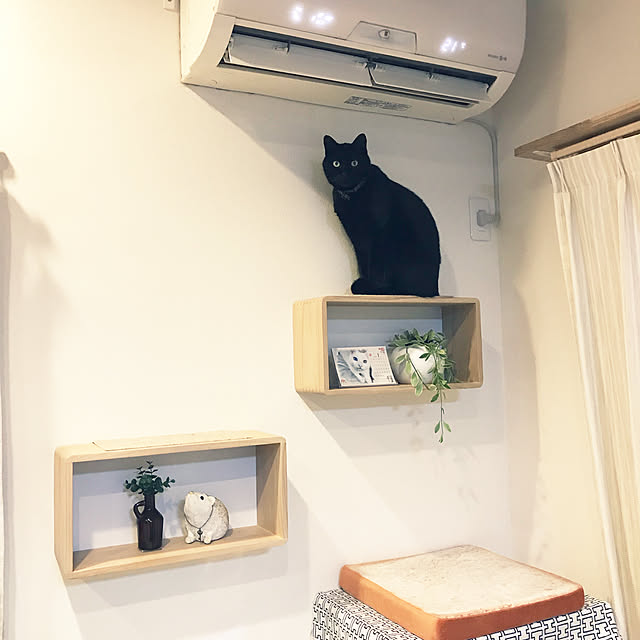 yuki0511さんの実例写真