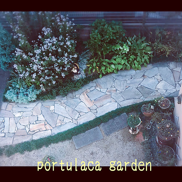 portulacaさんの実例写真