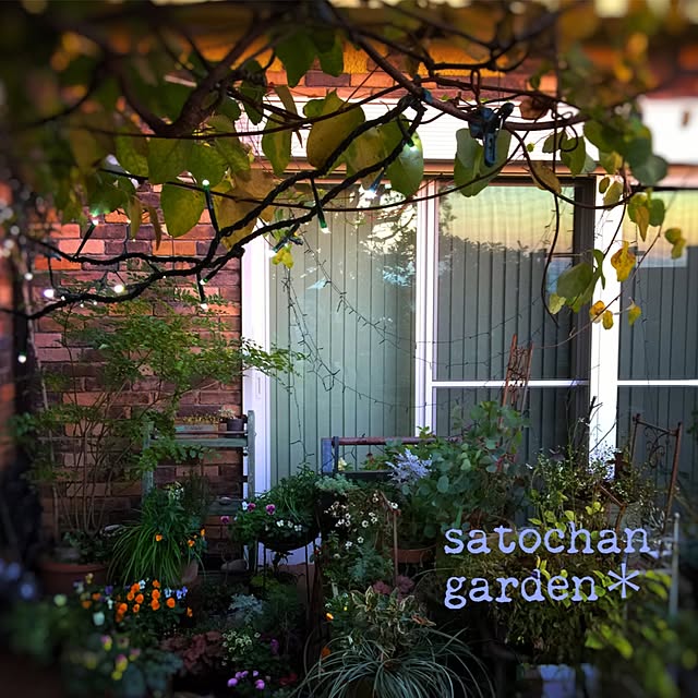 satochanさんの実例写真