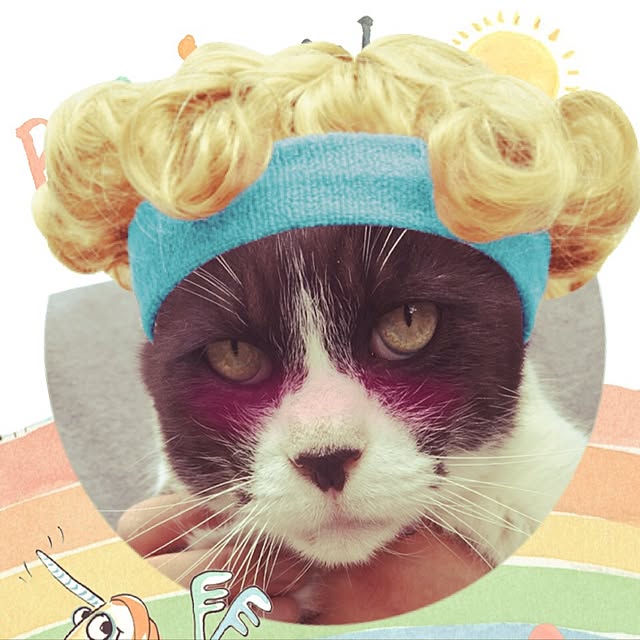 doramiさんの実例写真