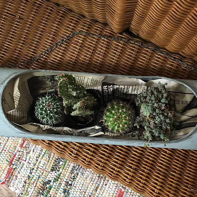 部屋全体/ナチュラル/雑貨/ガーデニング/観葉植物...などのインテリア実例 - 2018-10-06 16:37:59