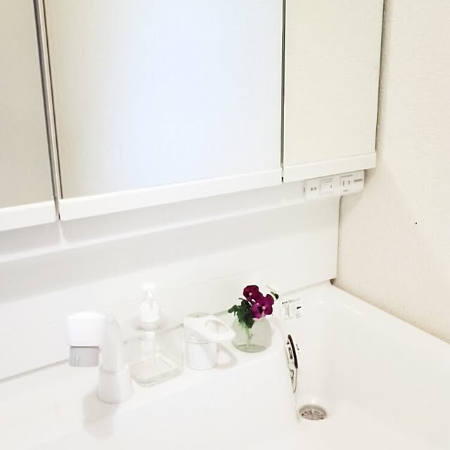 mintさんの実例写真