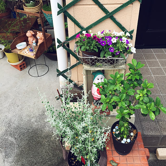 takakoさんの実例写真