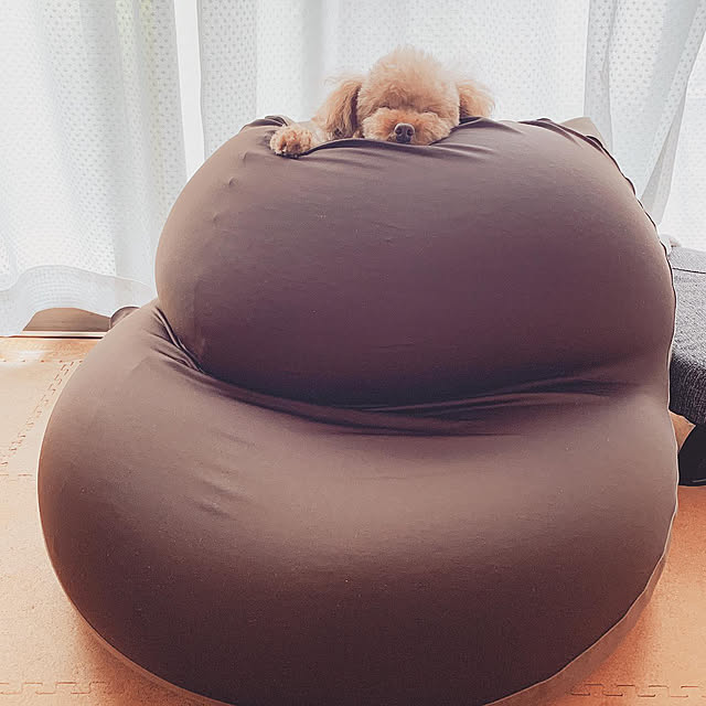suiさんの実例写真