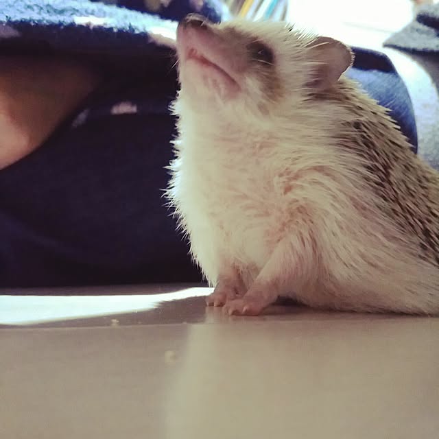 kuruさんの実例写真